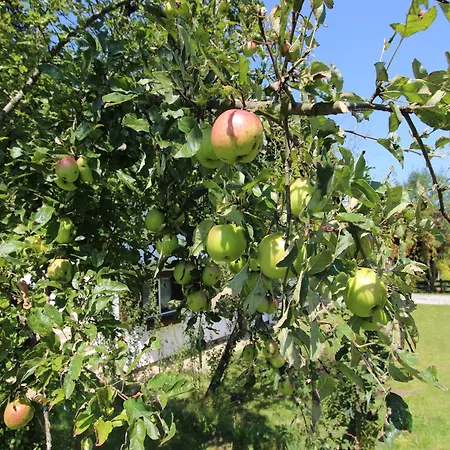 Дом отдыха In St Johann Near Slopes *