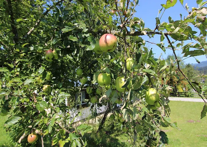 Dom wakacyjny In St Johann Near Slopes *
